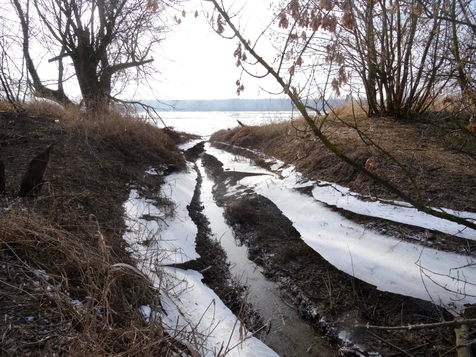 Czarnowo Vistula st 6
