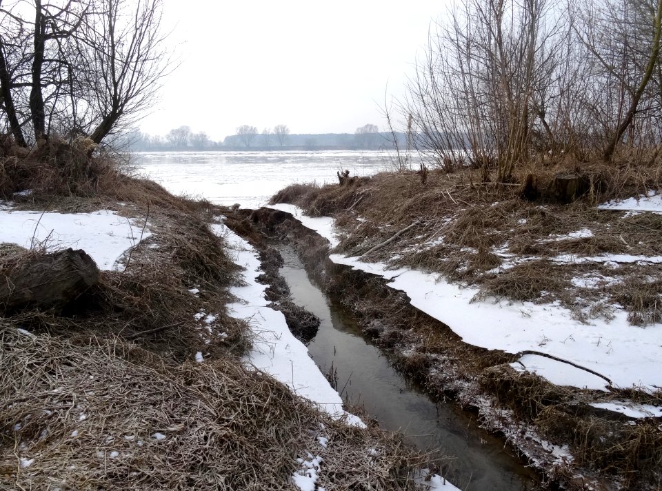 Czarnowo Vistula st 2