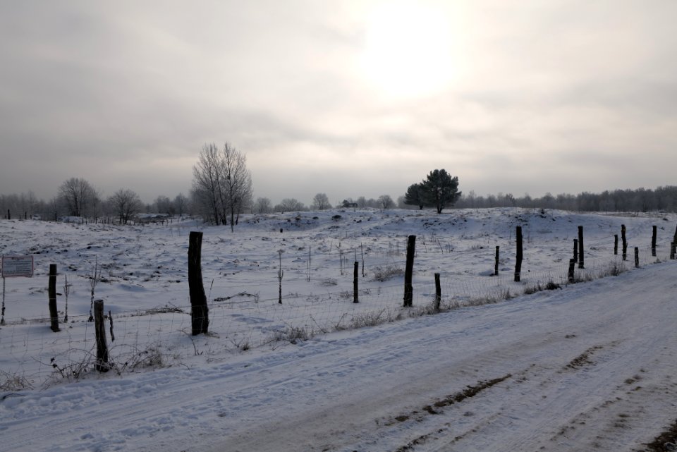 Döberitzer Heide wilderness area with snow 2021-02-14 67