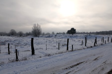 Döberitzer Heide wilderness area with snow 2021-02-14 67