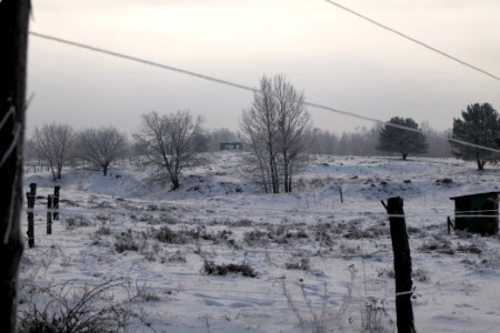 Döberitzer Heide wilderness area with snow 2021-02-14 65