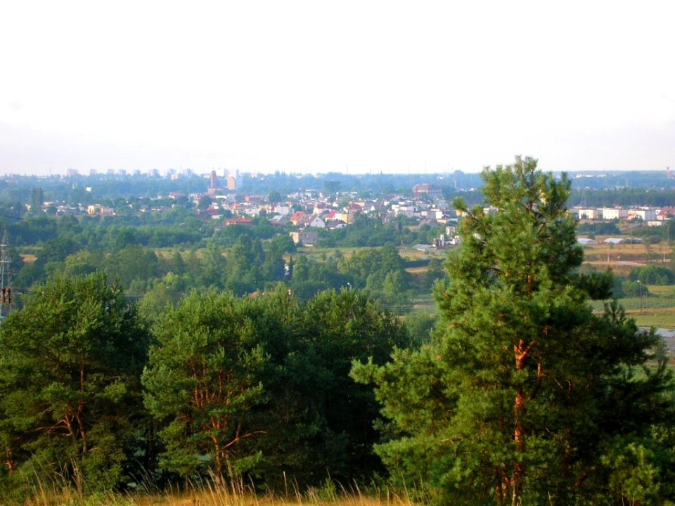 Czyżkówko z Piasków 5