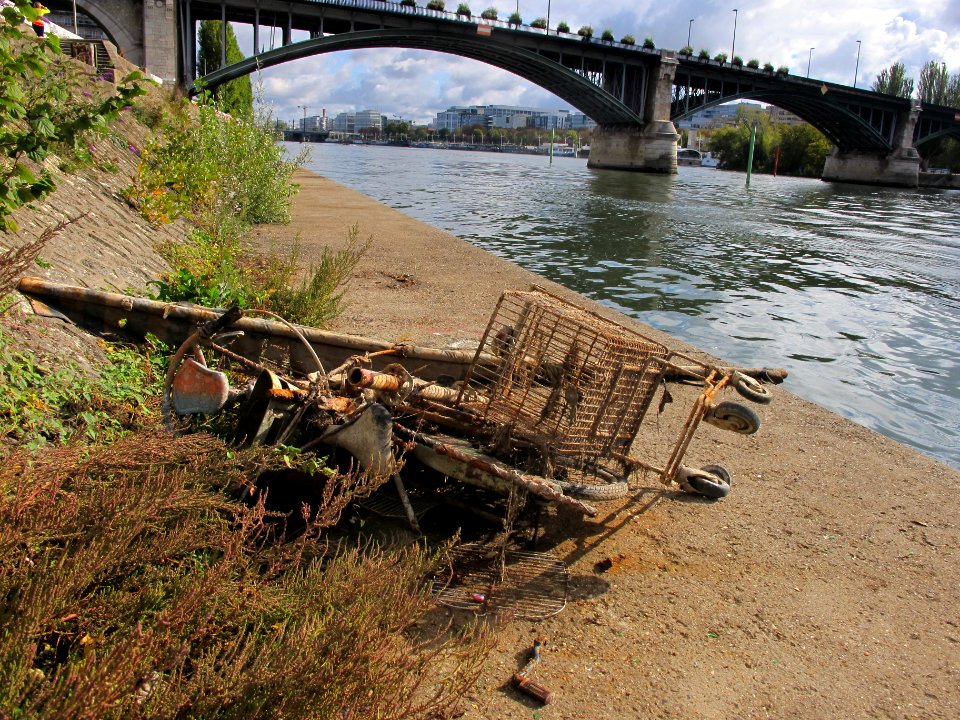Déchets sur les quais de CourbevoieMG 3398 01