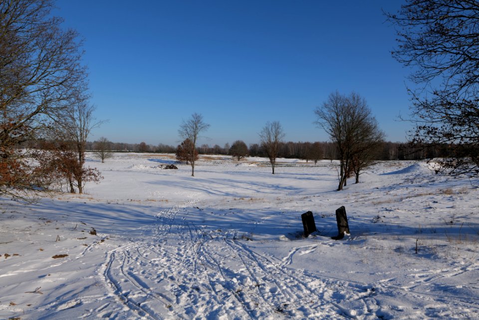Döberitzer Heide with snow 2021-02-14 228