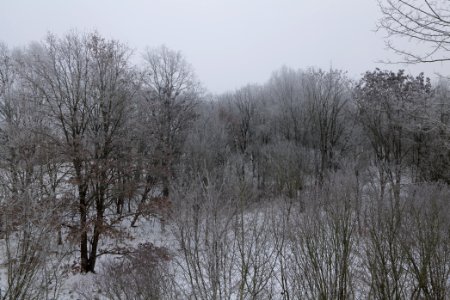 Döberitzer Heide with snow 2021-02-14 06
