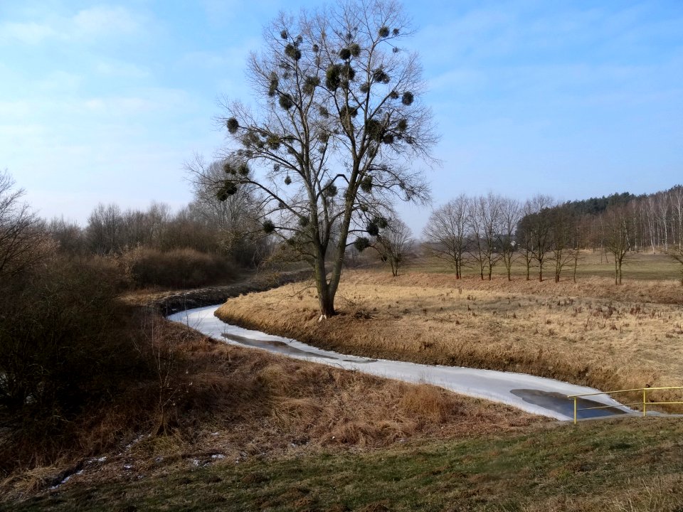Czarnowo Kanal Dolny 4