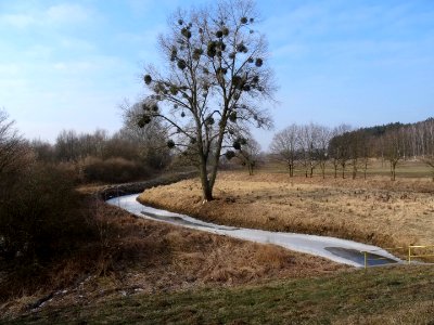 Czarnowo Kanal Dolny 4