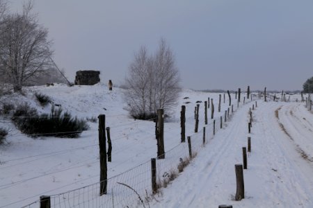 Döberitzer Heide wilderness area with snow 2021-02-14 46