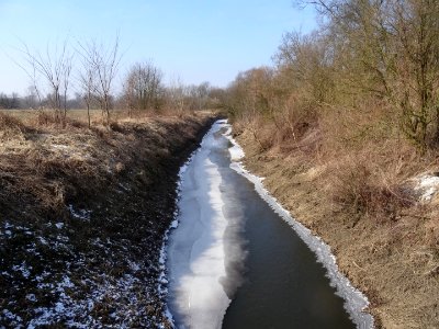 Czarnowo Kanal Dolny 1