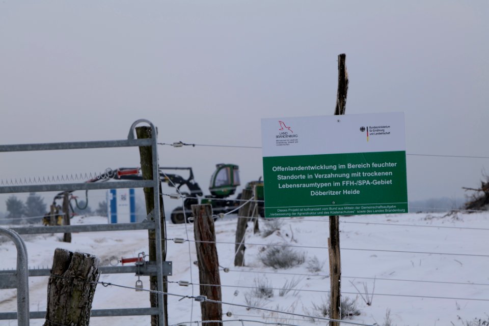 Döberitzer Heide wilderness area with snow 2021-02-14 19