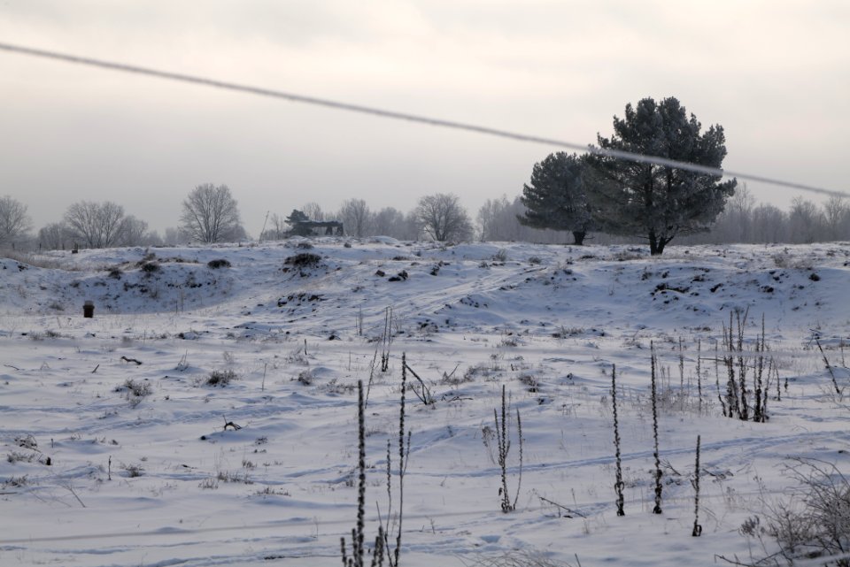 Döberitzer Heide wilderness area with snow 2021-02-14 70