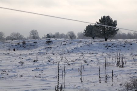 Döberitzer Heide wilderness area with snow 2021-02-14 70