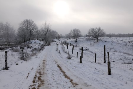 Döberitzer Heide round trail with snow 2021-02-14 97