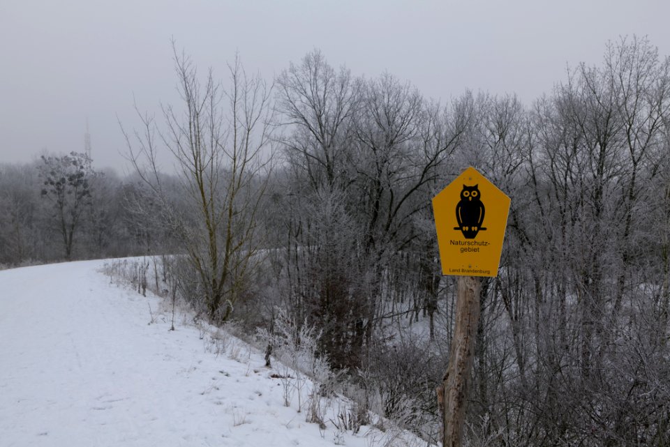 Döberitzer Heide with snow 2021-02-14 01