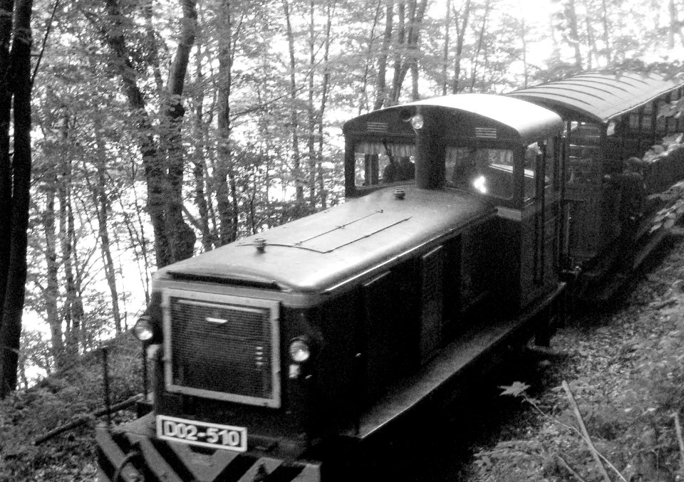 D02-510 a Hámori tóbál