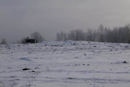 Döberitzer Heide wilderness area with snow 2021-02-14 77