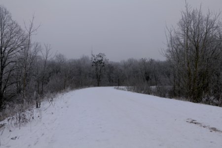 Döberitzer Heide with snow 2021-02-14 04