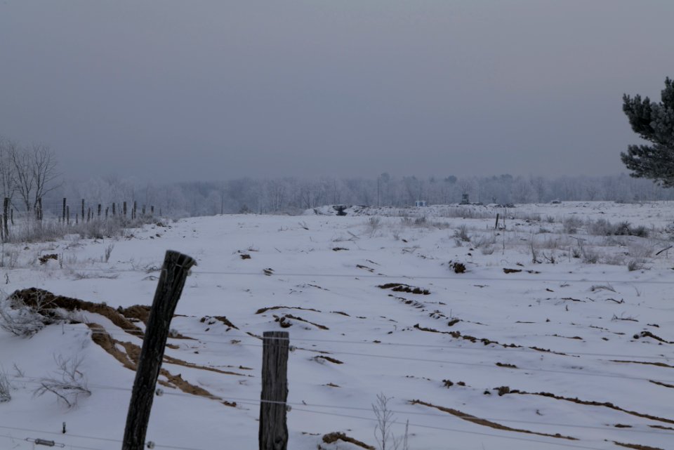 Döberitzer Heide wilderness area with snow 2021-02-14 21