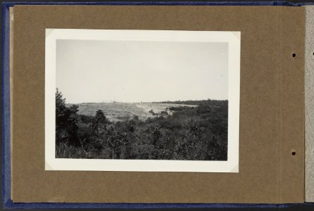 D Ba R MS G Hevea 1912 Robusta 1912, Bestanddeelnr 817 09