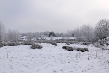 Döberitzer Heide with snow 2021-02-14 126