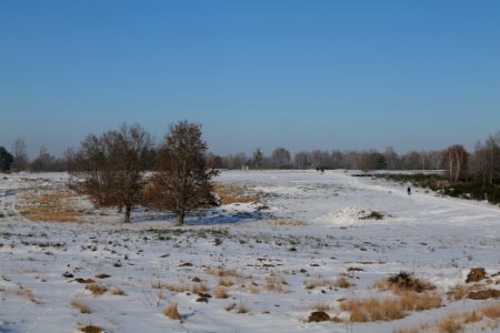 Döberitzer Heide with snow 2021-02-14 214