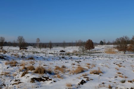 Döberitzer Heide with snow 2021-02-14 218