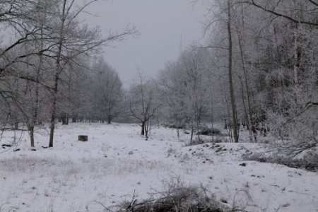 Döberitzer Heide with snow 2021-02-14 39 photo