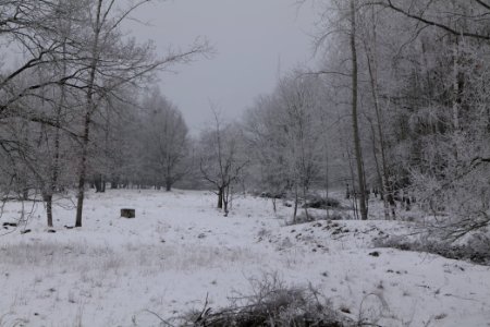 Döberitzer Heide with snow 2021-02-14 39