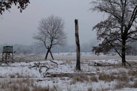 Döberitzer Heide with snow 2021-02-14 36