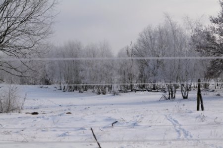 Döberitzer Heide wilderness area with snow 2021-02-14 82