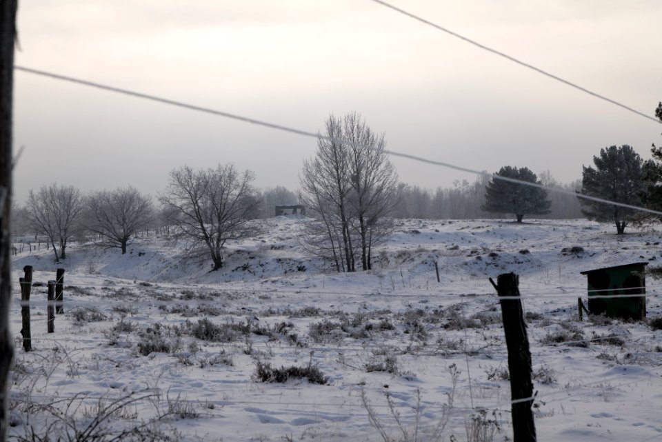 Döberitzer Heide wilderness area with snow 2021-02-14 64