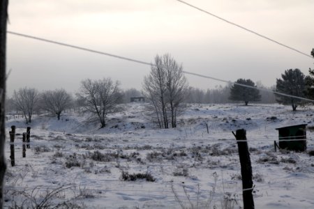 Döberitzer Heide wilderness area with snow 2021-02-14 64