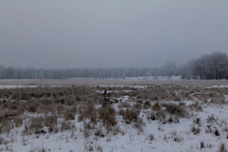 Döberitzer Heide with snow 2021-02-14 23