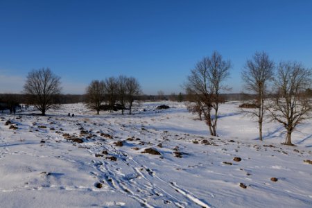 Döberitzer Heide with snow 2021-02-14 225 photo
