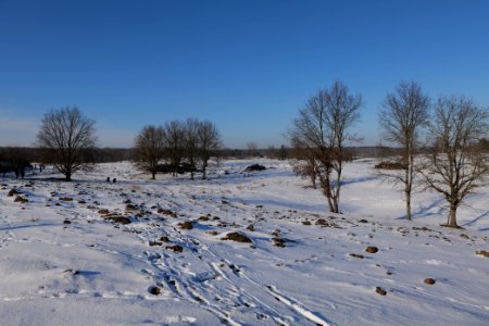 Döberitzer Heide with snow 2021-02-14 225