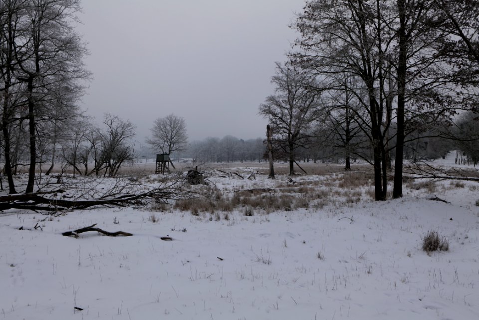 Döberitzer Heide with snow 2021-02-14 13