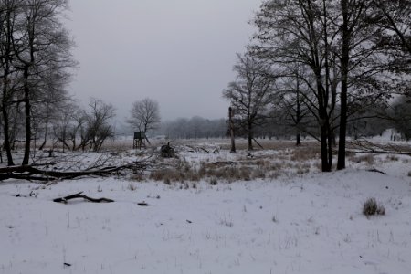 Döberitzer Heide with snow 2021-02-14 13 photo