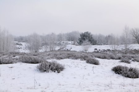 Döberitzer Heide with snow 2021-02-14 129