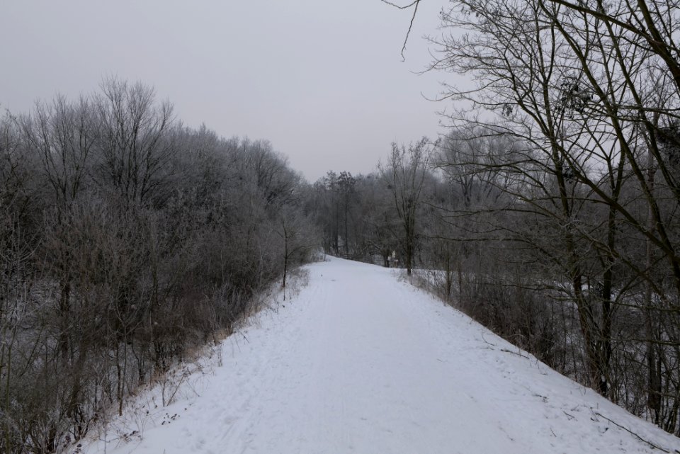 Döberitzer Heide with snow 2021-02-14 07