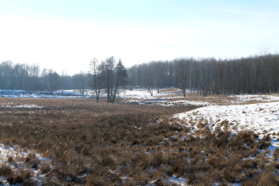 Döberitzer Heide with snow 2021-02-14 239