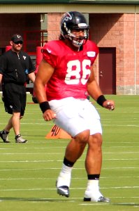 D. J. Tialavea July 2016