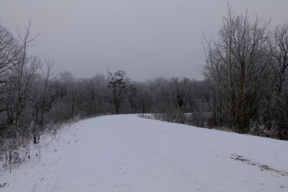 Döberitzer Heide with snow 2021-02-14 03