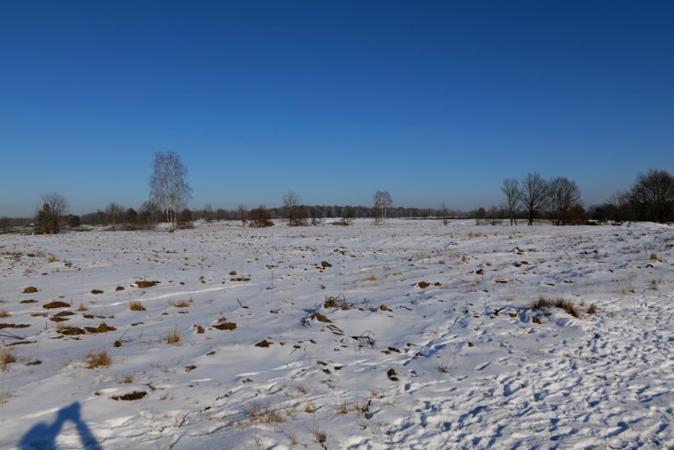Döberitzer Heide with snow 2021-02-14 230