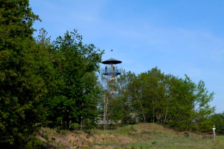 Döberitzer Heide 2020-05-08 31