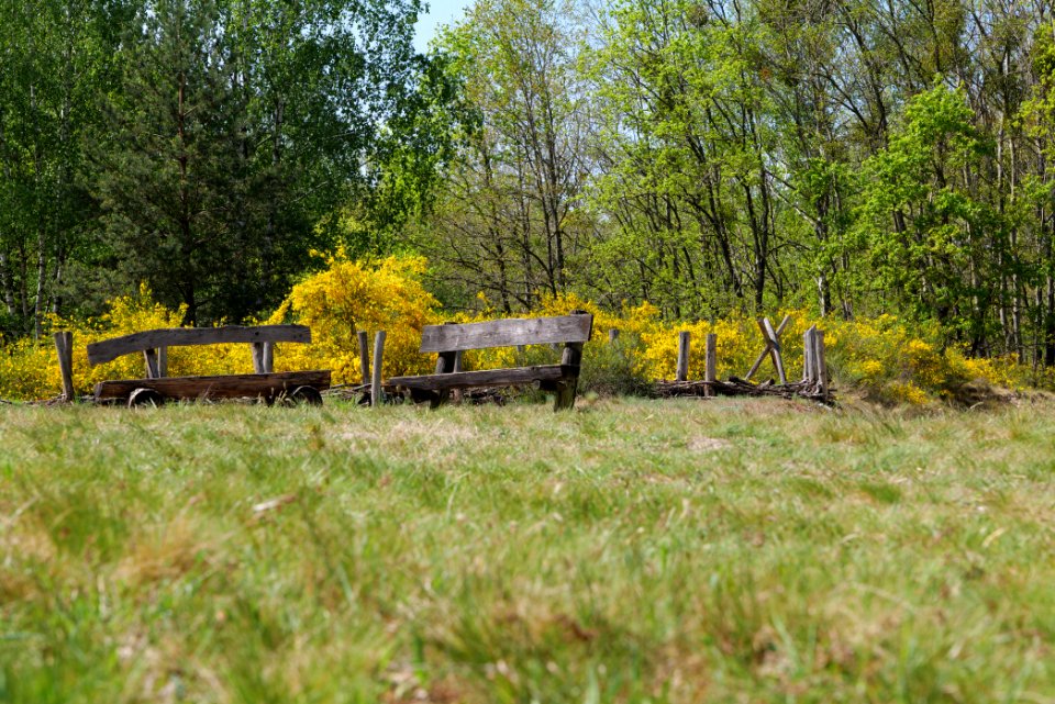 Döberitzer Heide 2020-05-08 14