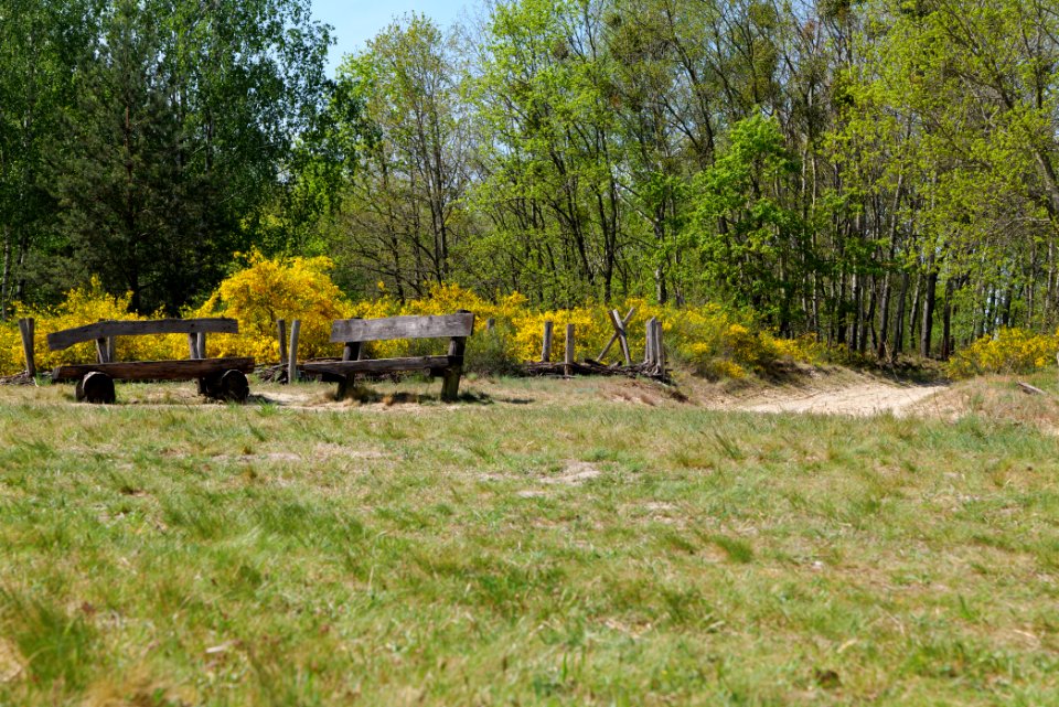 Döberitzer Heide 2020-05-08 15