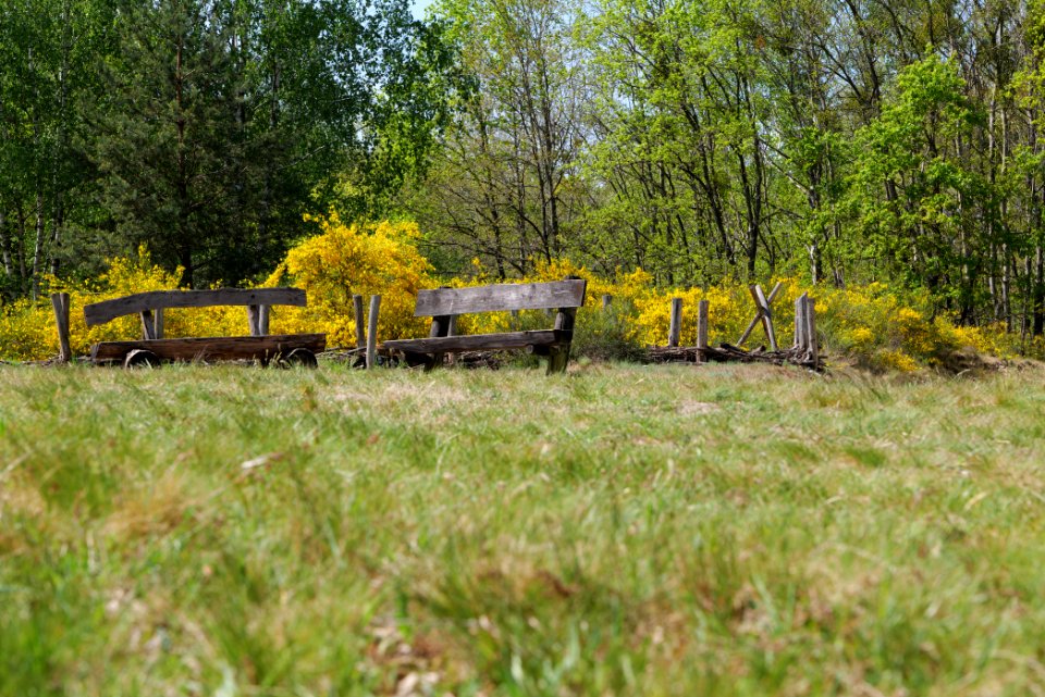Döberitzer Heide 2020-05-08 13
