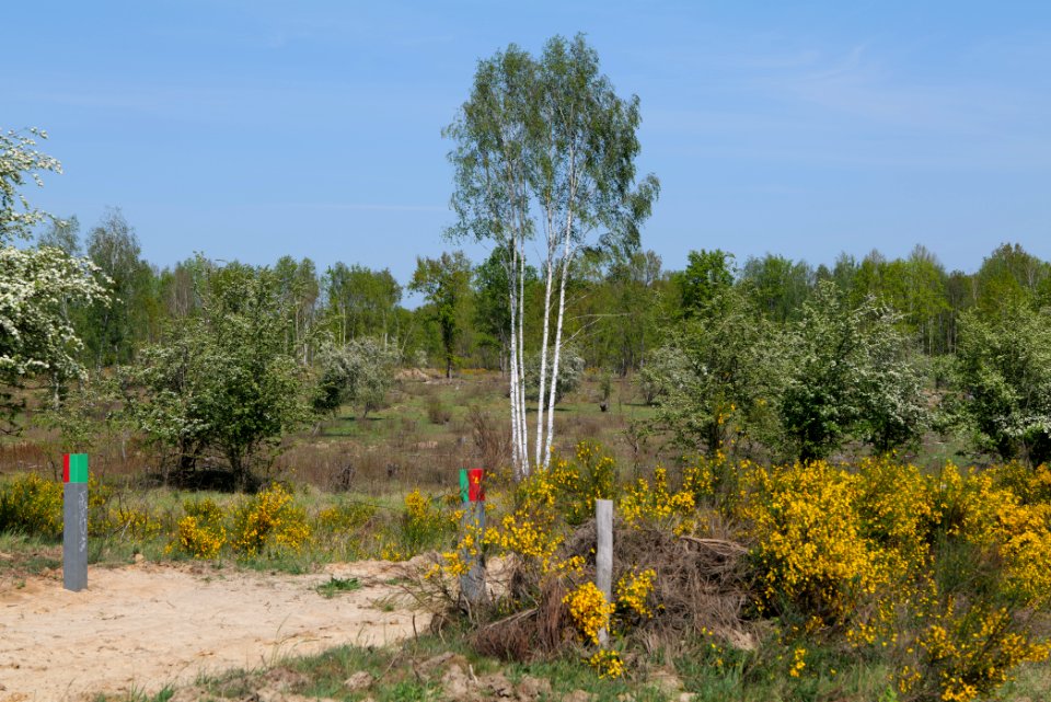 Döberitzer Heide 2020-05-08 19