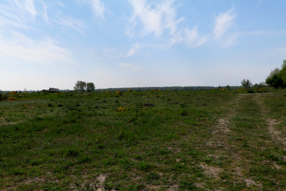 Döberitzer Heide Ferbitzer Bruch 2020-05-08 15