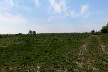 Döberitzer Heide Ferbitzer Bruch 2020-05-08 15